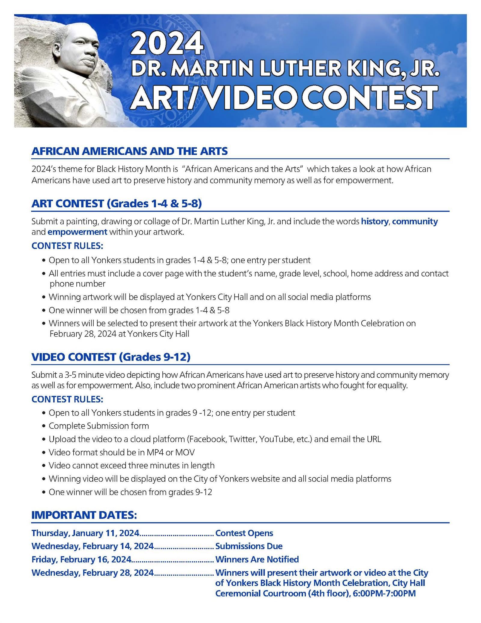 Art Video Contest